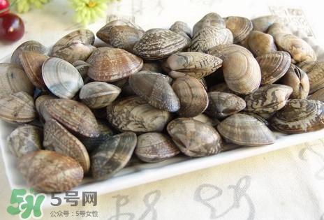 黃蜆子和花蜆子哪個(gè)好？黃蜆子和花蜆子的區(qū)別