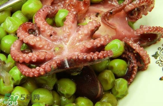 八爪魚多少錢一斤？章魚多少錢一斤