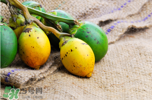 檳榔什么味道？正宗的檳榔是什么味道？
