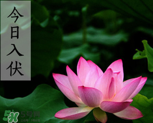 2017年頭伏是幾月幾號(hào)？2017年入伏第一天是幾月幾號(hào)？