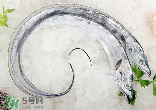 帶魚是深海魚嗎？帶魚是海鮮嗎