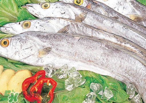 帶魚是咸的嗎？帶魚是無鱗魚嗎