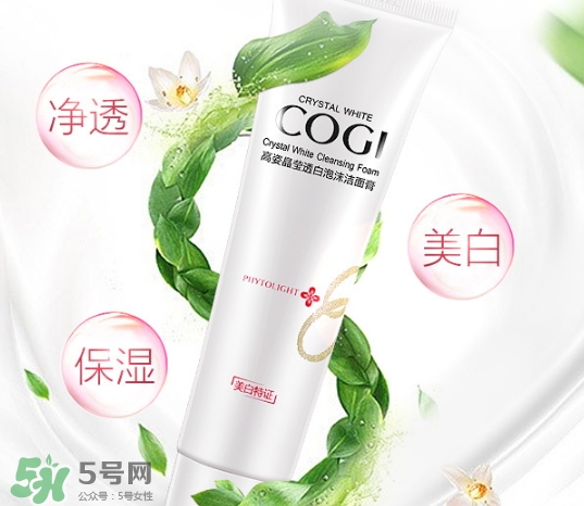 高姿洗面奶多少錢？高姿洗面奶真假查詢