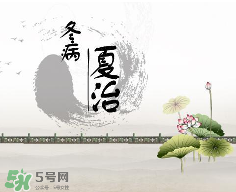 2017年三伏貼什么時(shí)候貼？2017年三伏貼貼幾天？