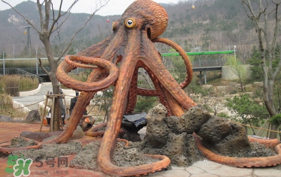 章魚是烏賊嗎？章魚與烏賊的區(qū)別