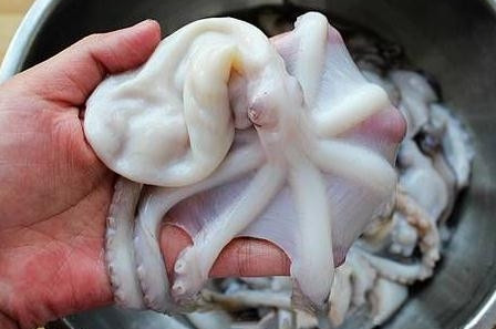 章魚是魚嗎？章魚有什么營(yíng)養(yǎng)價(jià)值？
