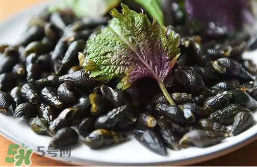 紫蘇是什么植物？紫蘇是發(fā)物嗎？