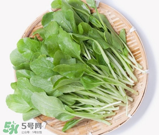 雞毛菜有什么營(yíng)養(yǎng)價(jià)值？雞毛菜的功效與作用