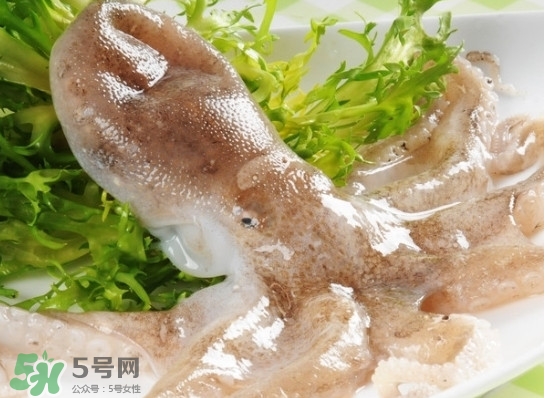 八帶魚怎么洗？八爪魚怎么處理干凈