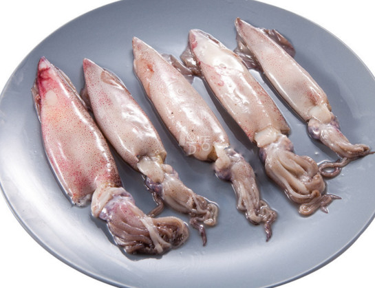 章魚是魷魚嗎？章魚和魷魚有什么區(qū)別