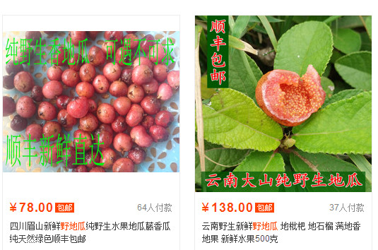 野地瓜哪里可以買到？哪個地方有種植野地瓜的