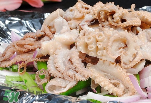 八爪魚是魷魚嗎？八爪魚是章魚嗎