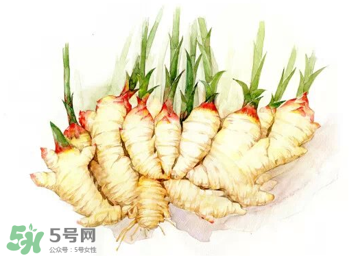 7月份可以種生姜嗎？生姜幾月份種植？