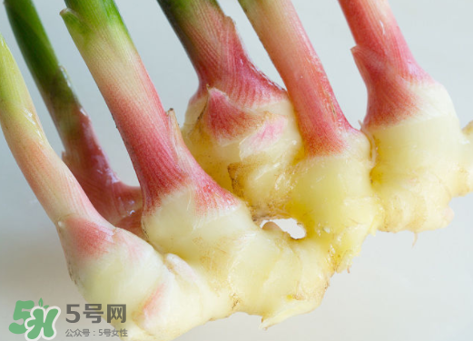 7月份可以種生姜嗎？生姜幾月份種植？