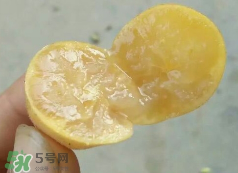 黃皮可以吃皮嗎？黃皮果可以帶皮吃嗎