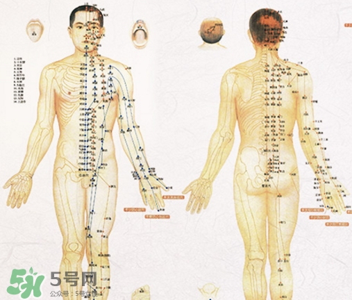 貼三伏貼可以吃西瓜嗎？貼三伏貼吃西瓜有什么害處