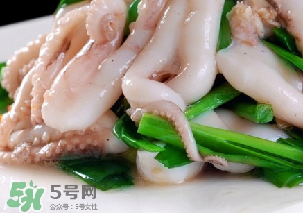 八爪魚是魷魚嗎？八爪魚是章魚嗎