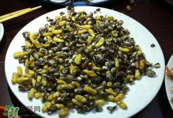 洋辣子是什么？洋辣子能吃嗎？