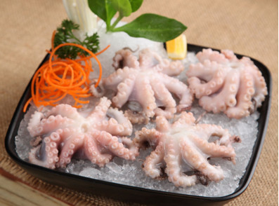 八爪魚是海鮮嗎？八爪魚是發(fā)物嗎