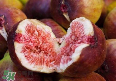 無花果能治痔瘡嗎？無花果怎樣吃治痔瘡？