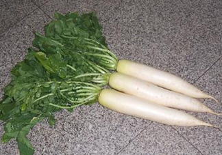 頭伏蘿卜二伏菜是什么意思？頭伏種什么菜？