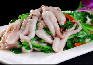 八爪魚(yú)是魷魚(yú)嗎？八爪魚(yú)是章魚(yú)嗎