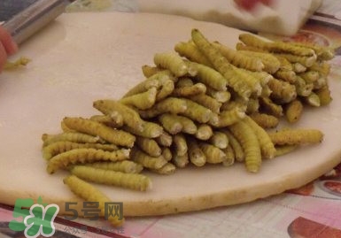 豆丹做菜前怎么處理干凈？豆丹怎么養(yǎng)殖