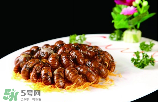 知了猴孕婦可以吃嗎？孕婦能吃知了猴嗎？