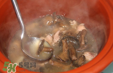 重陽菌孕婦可以吃嗎？重陽菌怎樣保存才新鮮