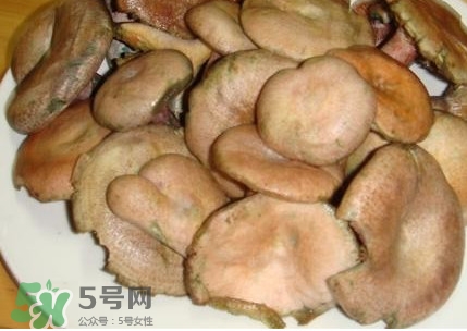 樅樹菌孕婦可以吃嗎？孕婦能吃樅樹菌嗎