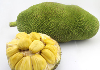 木菠蘿買來怎么吃？木菠蘿吃多了會怎樣？