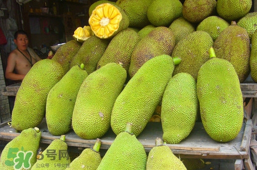 木菠蘿買來怎么吃？木菠蘿吃多了會怎樣？