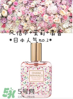 ohana mahaalo香水是什么牌子？ohana mahaalo在哪買？