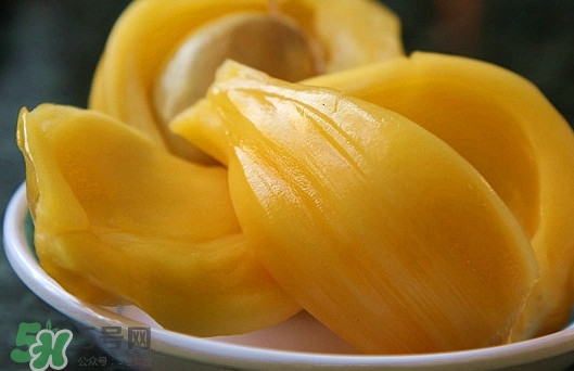 木菠蘿是菠蘿蜜嗎？木菠蘿是榴蓮嗎