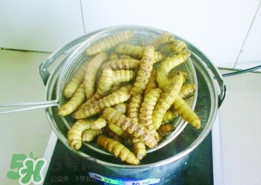 豆丹做菜前怎么處理干凈？豆丹怎么養(yǎng)殖