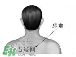 三伏貼能治過敏性鼻炎嗎？三伏貼治過敏性鼻炎貼哪里？