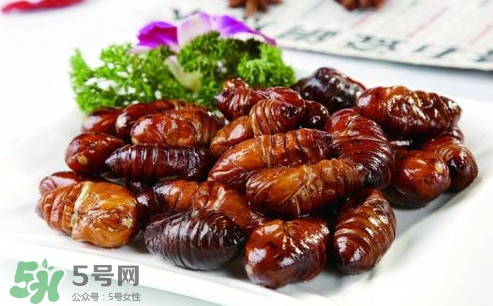 蟬蛹可以人工養(yǎng)殖嗎？蟬蛹的養(yǎng)殖方法