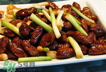 孕婦可以吃蟬蛹嗎？懷孕吃蟬蛹有沒有副作用