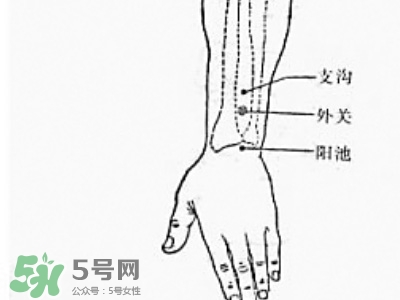 三伏貼能治過敏性鼻炎嗎？三伏貼治過敏性鼻炎貼哪里？