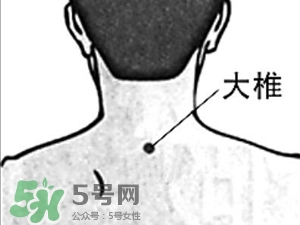 三伏貼能治過敏性鼻炎嗎？三伏貼治過敏性鼻炎貼哪里？