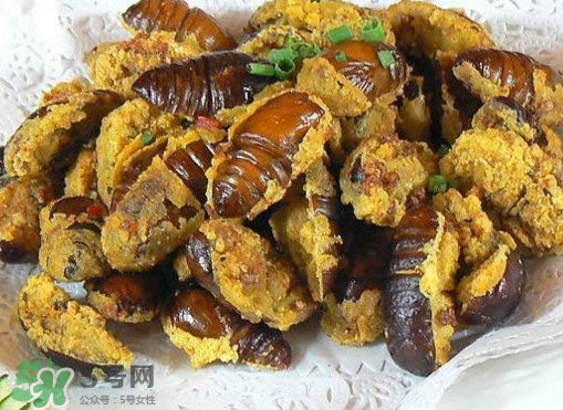 水煮蟬蛹怎么做？蟬蛹煮多久可以熟？
