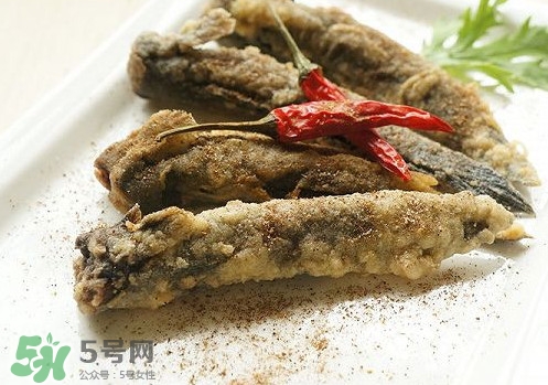 彈涂魚是兩棲動物嗎？彈涂魚營養(yǎng)價值有哪些