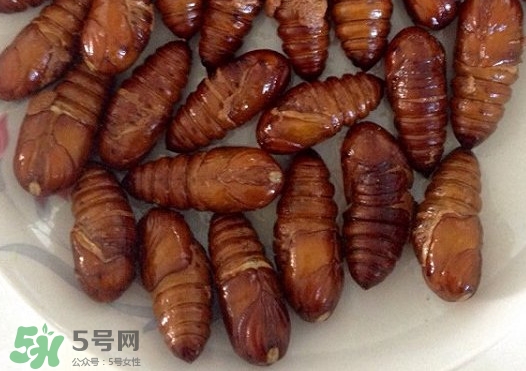 蟬蛹吃什么部位？蟬蛹都有哪些營養(yǎng)價(jià)值