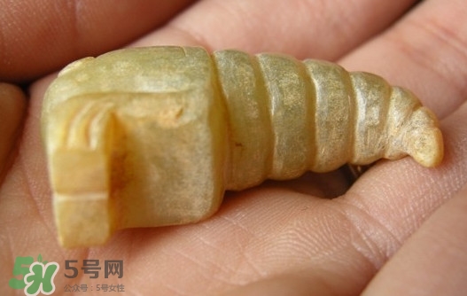 蟬蛹能吃嗎？蟬蛹怎么做好吃