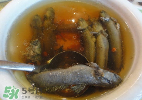 跳跳魚多少錢一斤？跳跳魚是淡水魚嗎？