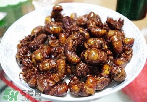 蟬蛹什么人不能吃？蟬蛹不能和什么一起吃
