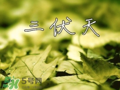 三伏天怎么坐月子？三伏天坐月子要注意什么？