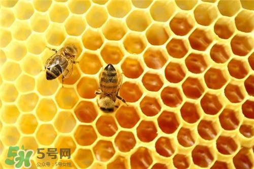 三伏貼能治過敏性鼻炎嗎？三伏貼治過敏性鼻炎貼哪里？