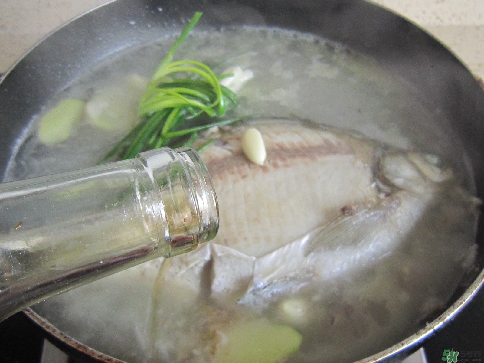 三伏灸可以吃魚嗎？三伏灸可以吃什么魚？