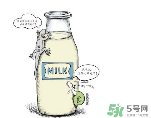 巴氏奶可以加熱嗎？巴氏奶常溫能放多久